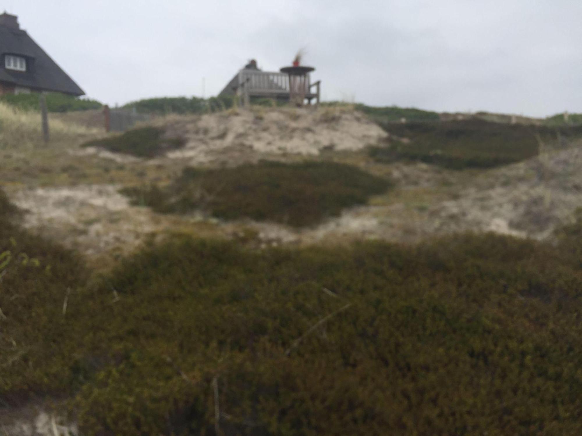 Ferienhaus Meerblickhaus-hoppe-mit-panoramabank-auf-sylt