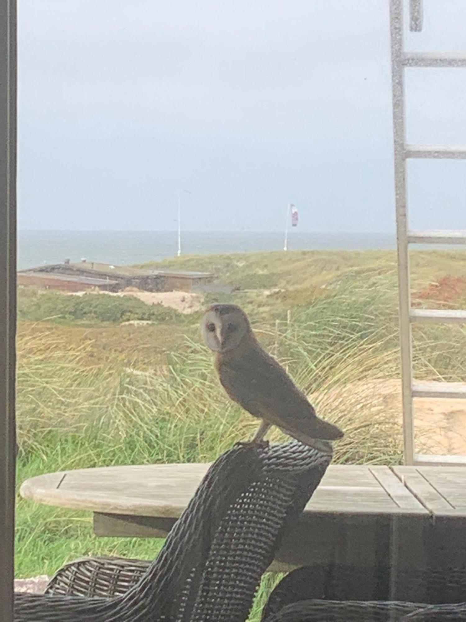 Ferienhaus Meerblickhaus-hoppe-mit-panoramabank-auf-sylt *