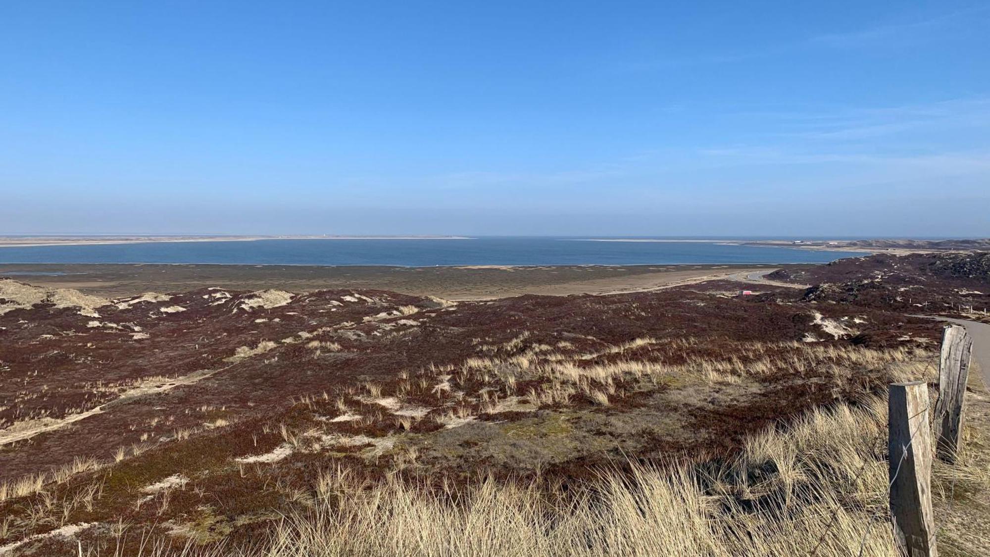 Ferienhaus Meerblickhaus-hoppe-mit-panoramabank-auf-sylt