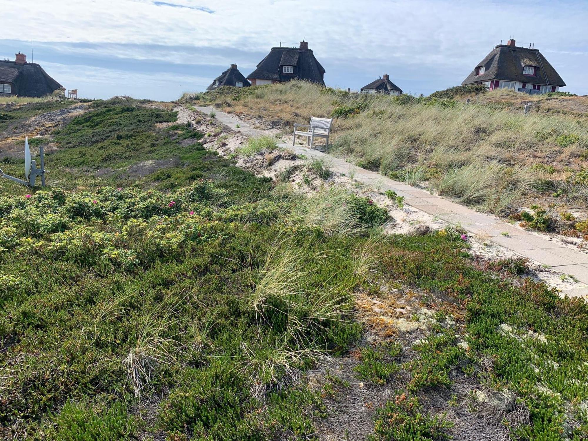 Ferienhaus Meerblickhaus-hoppe-mit-panoramabank-auf-sylt *